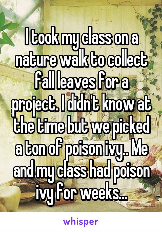 I took my class on a nature walk to collect fall leaves for a project. I didn't know at the time but we picked a ton of poison ivy.. Me and my class had poison ivy for weeks...