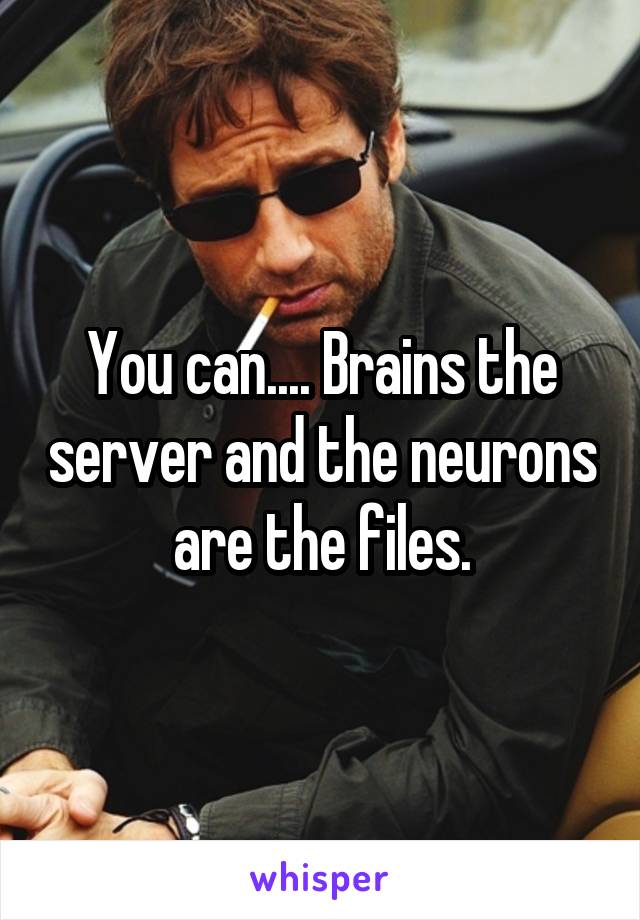 You can.... Brains the server and the neurons are the files.