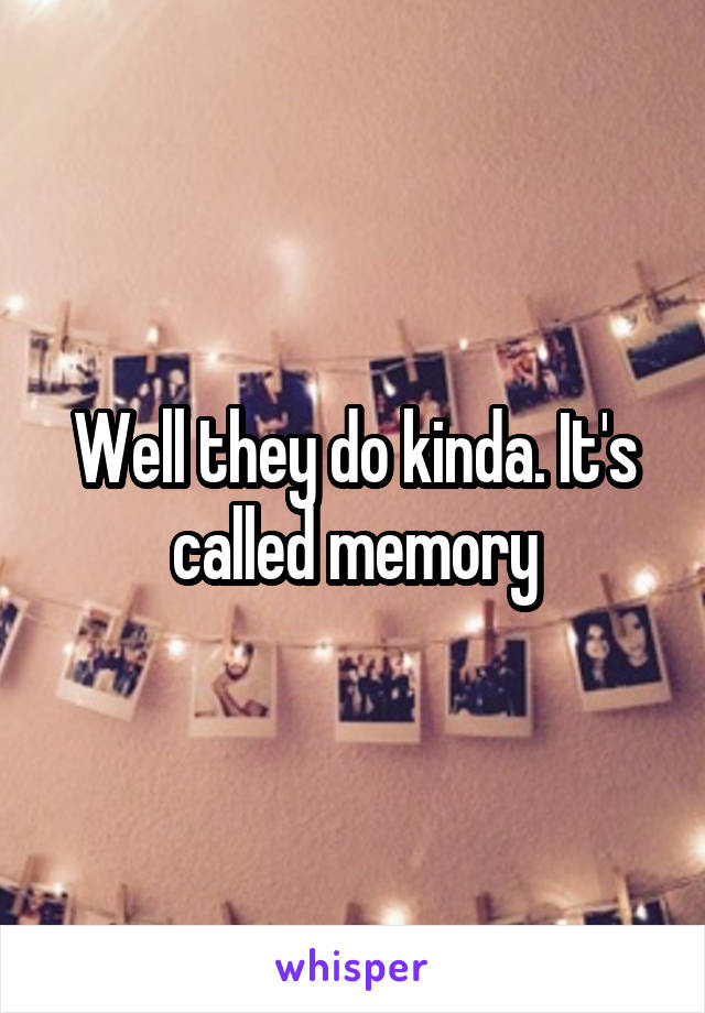 Well they do kinda. It's called memory