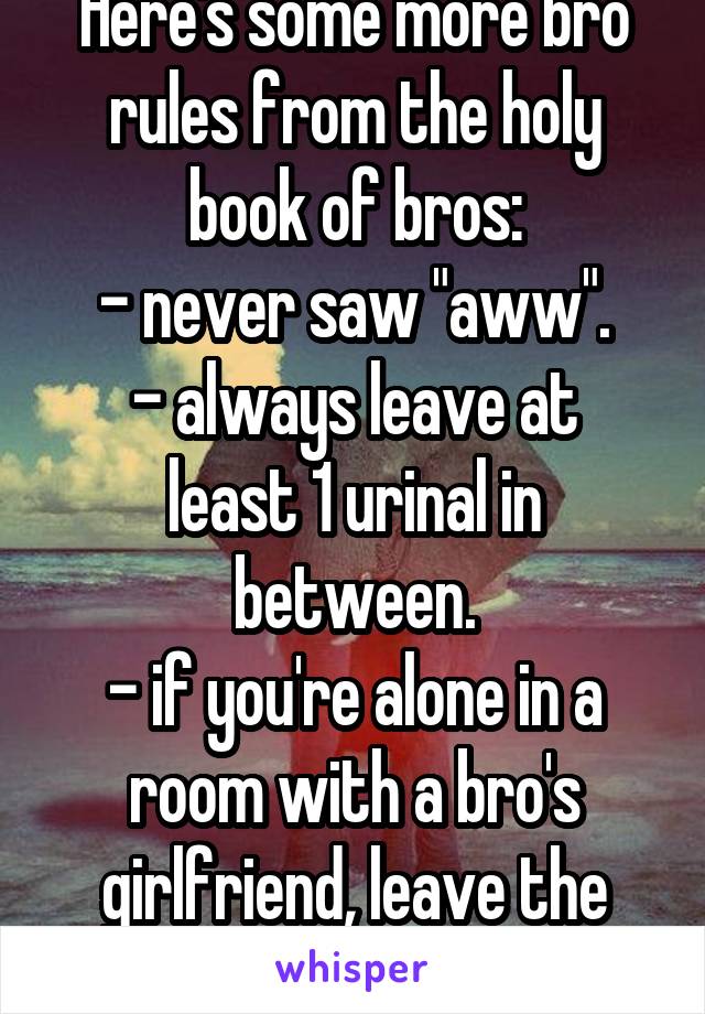 Here's some more bro rules from the holy book of bros:
- never saw "aww".
- always leave at least 1 urinal in between.
- if you're alone in a room with a bro's girlfriend, leave the room. 