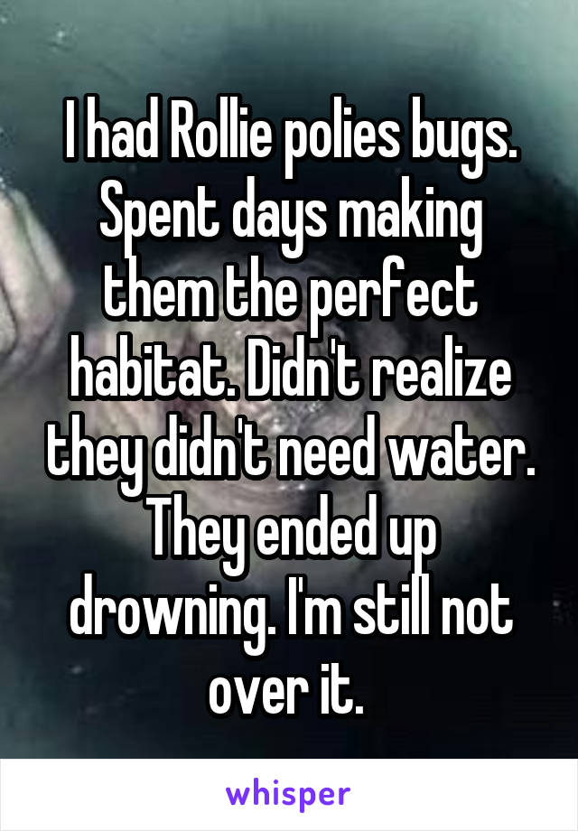I had Rollie polies bugs. Spent days making them the perfect habitat. Didn't realize they didn't need water. They ended up drowning. I'm still not over it. 