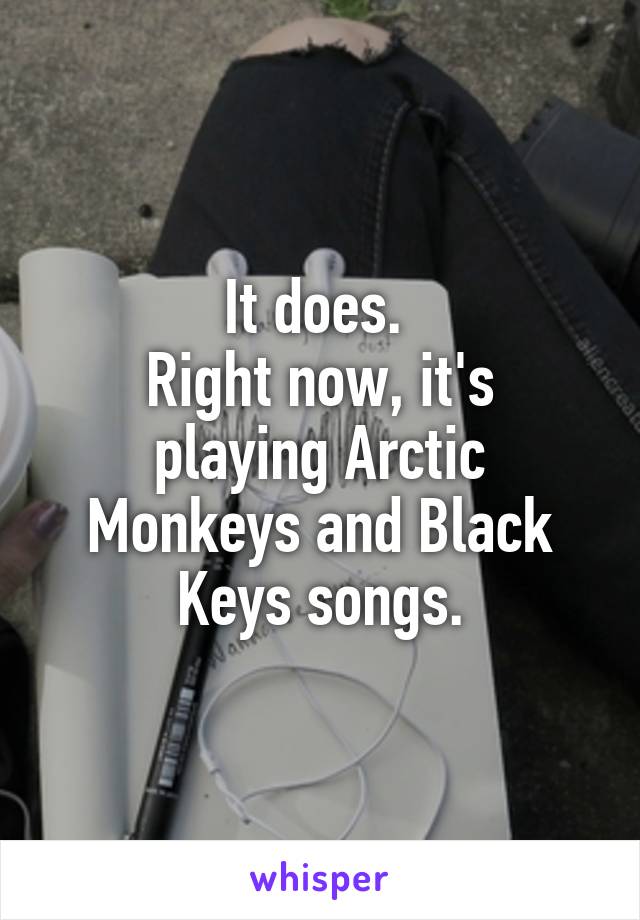 It does. 
Right now, it's playing Arctic Monkeys and Black Keys songs.