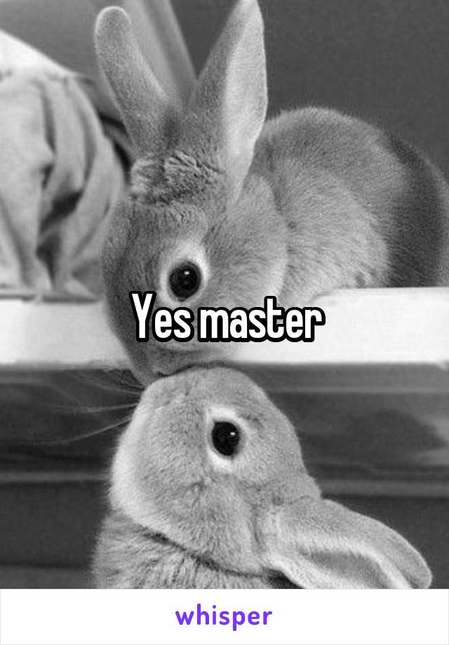 Yes master