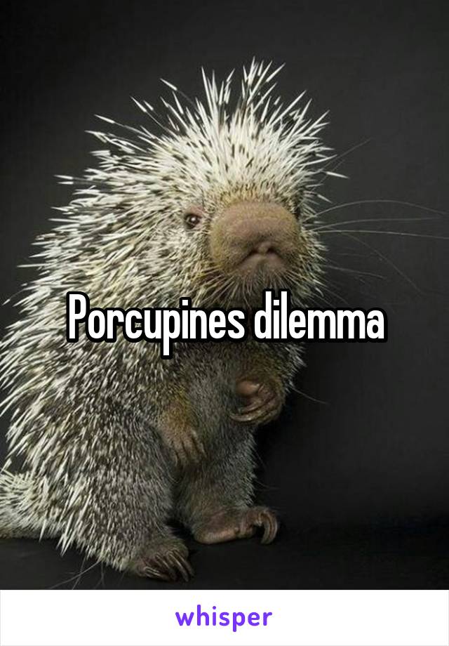 Porcupines dilemma