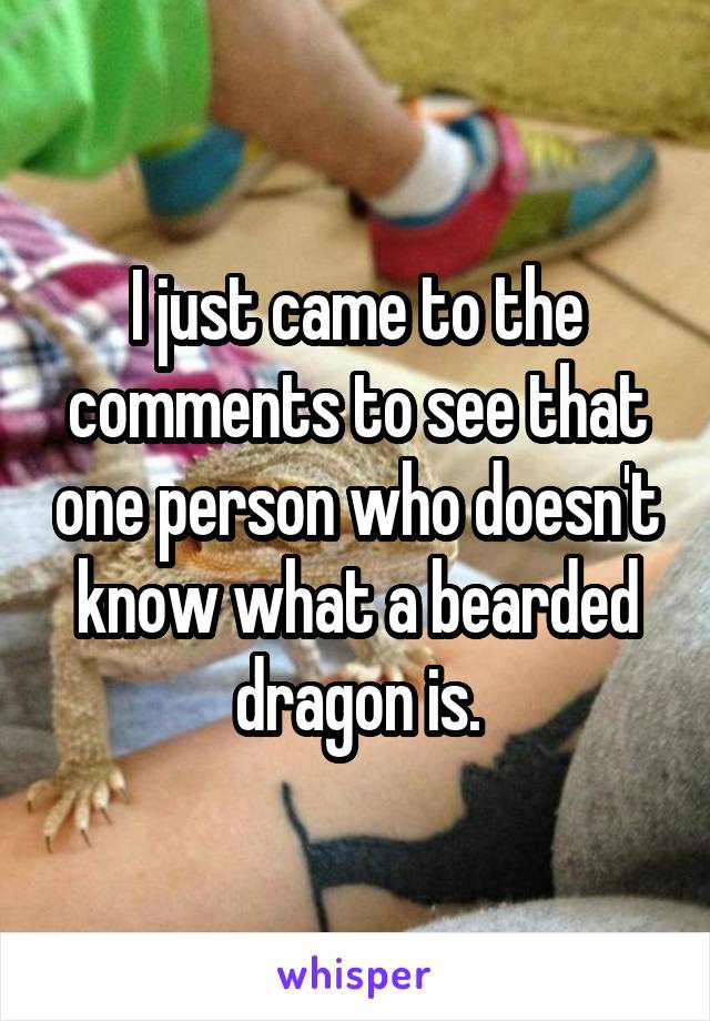I just came to the comments to see that one person who doesn't know what a bearded dragon is.