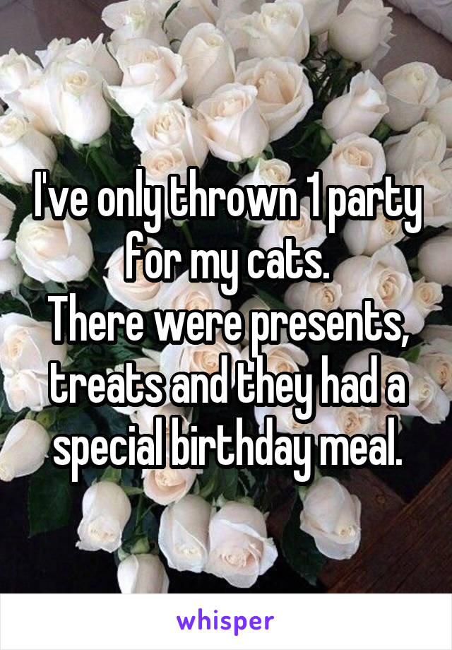 I've only thrown 1 party for my cats.
There were presents, treats and they had a special birthday meal.
