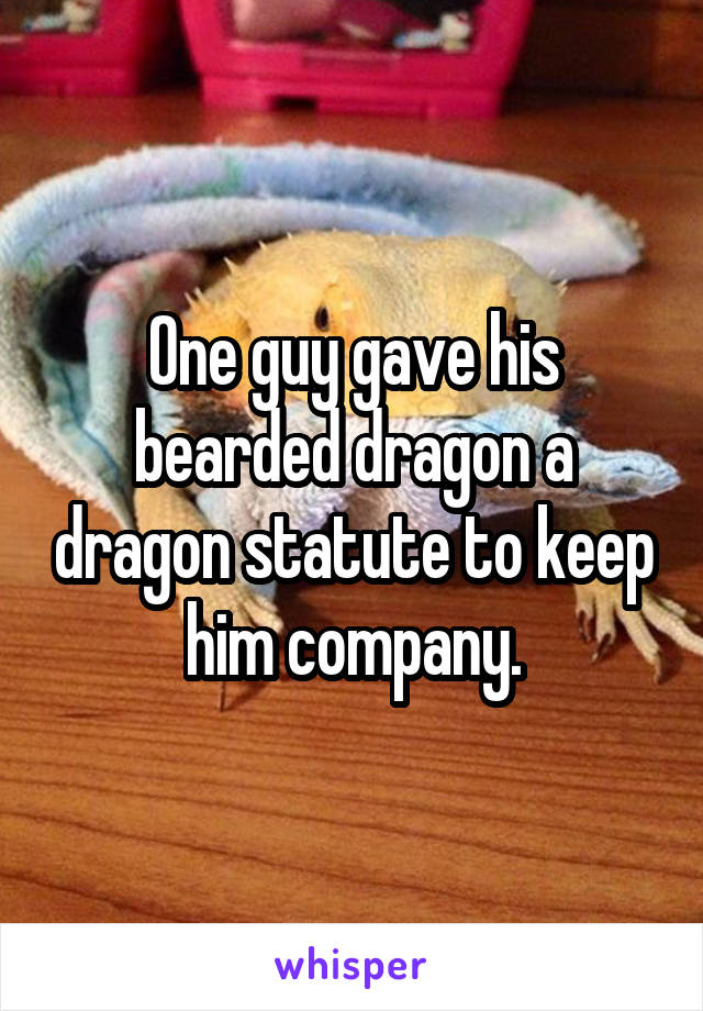 One guy gave his bearded dragon a dragon statute to keep him company.