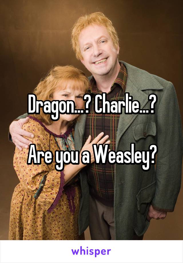 Dragon...? Charlie...?

Are you a Weasley?