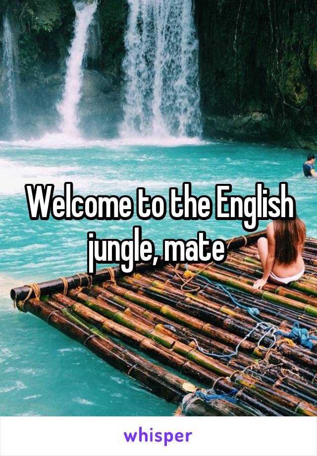 Welcome to the English jungle, mate 