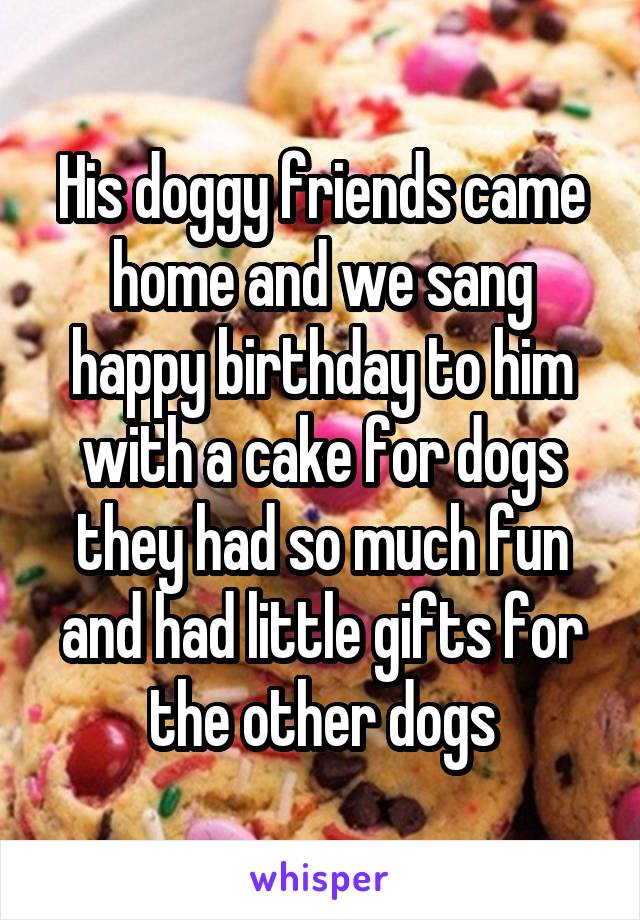 His doggy friends came home and we sang happy birthday to him with a cake for dogs they had so much fun and had little gifts for the other dogs