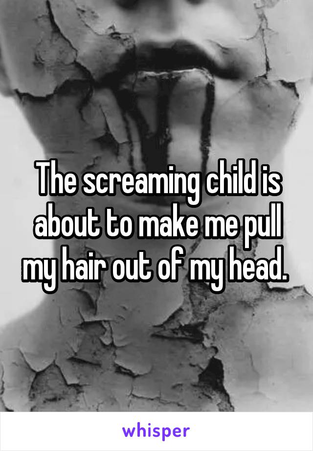 The screaming child is about to make me pull my hair out of my head. 