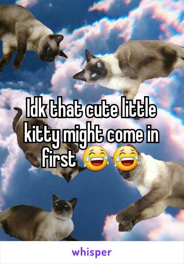 Idk that cute little kitty might come in first 😂😂