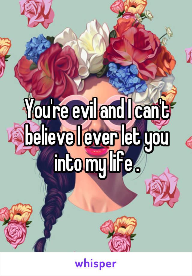 You're evil and I can't believe I ever let you into my life .