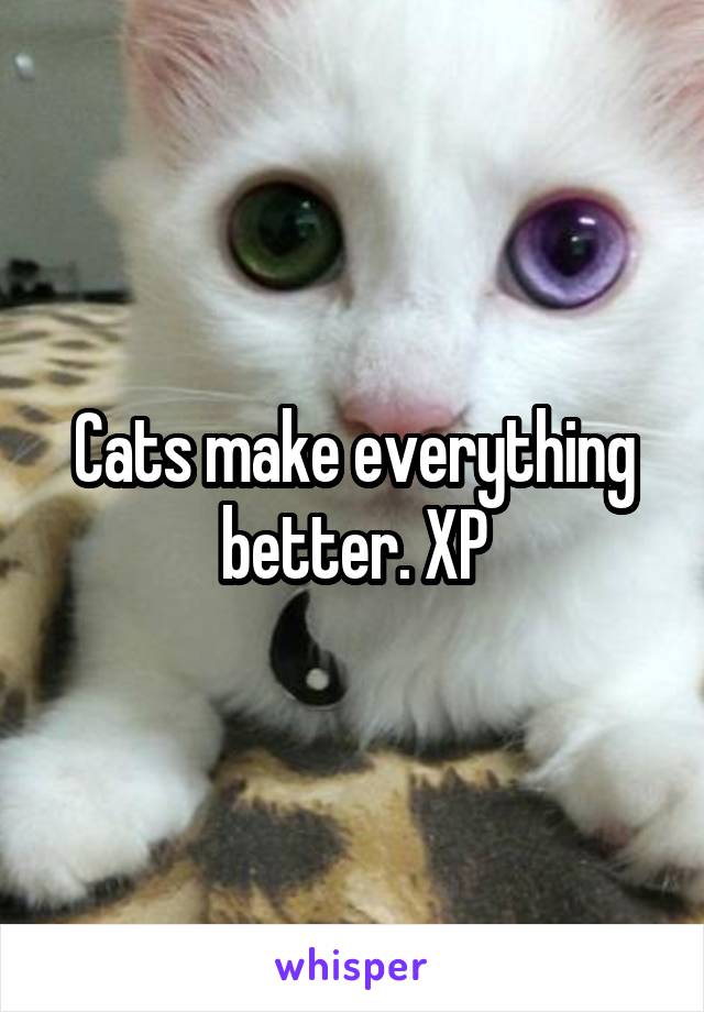 Cats make everything better. XP