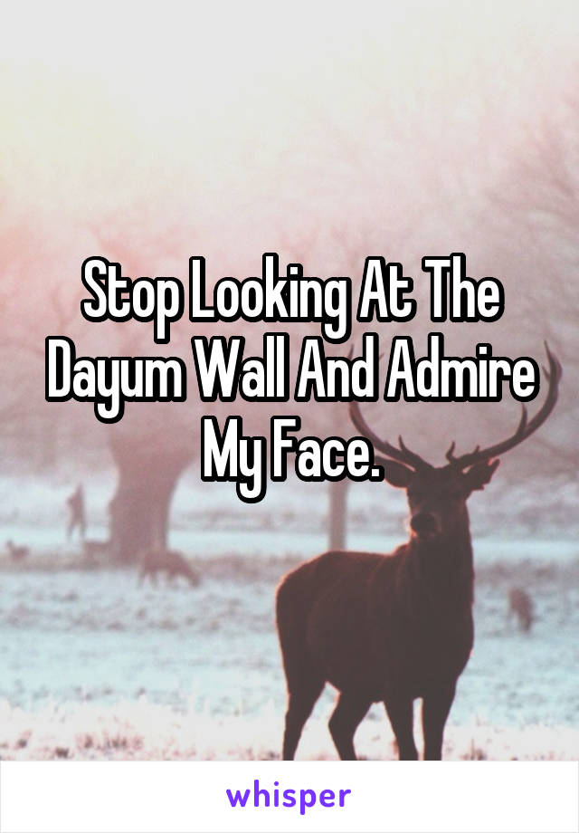 Stop Looking At The Dayum Wall And Admire My Face.
