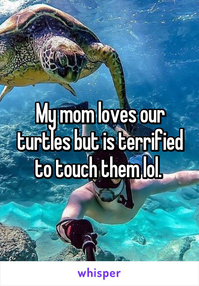 My mom loves our turtles but is terrified to touch them lol. 