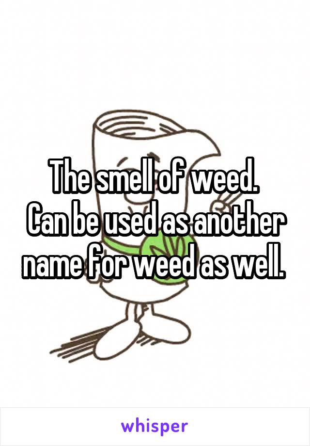 The smell of weed. 
Can be used as another name for weed as well. 