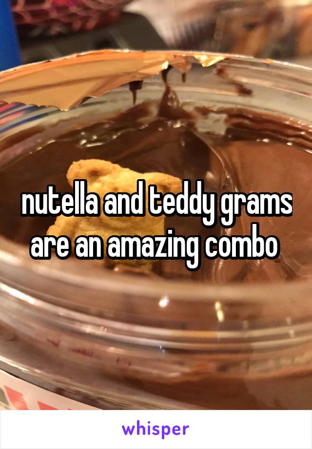 nutella and teddy grams are an amazing combo 