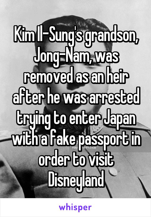 Kim Il-Sung's grandson, Jong-Nam, was removed as an heir after he was arrested trying to enter Japan with a fake passport in order to visit Disneyland