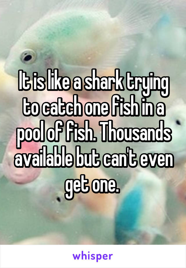 It is like a shark trying to catch one fish in a pool of fish. Thousands available but can't even get one. 