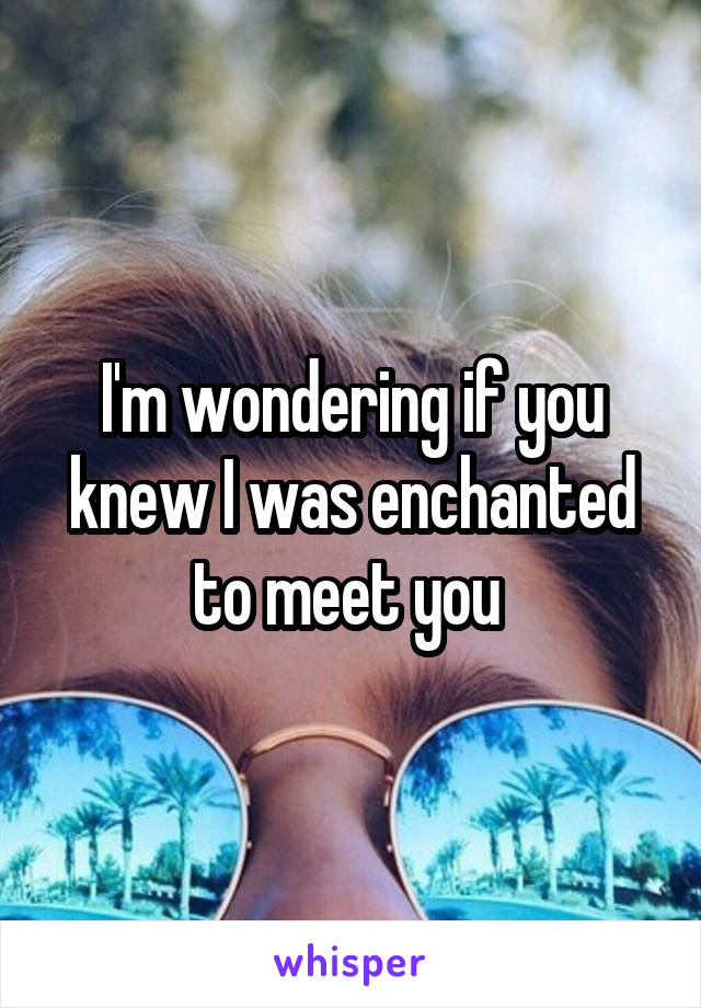 I'm wondering if you knew I was enchanted to meet you 
