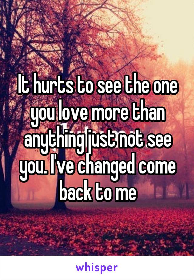 It hurts to see the one you love more than anything just not see you. I've changed come back to me