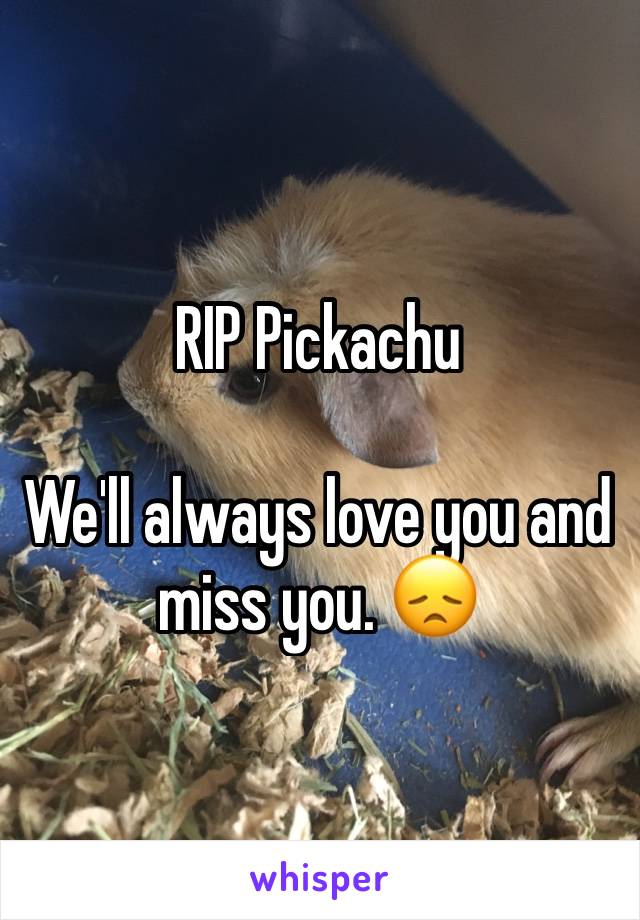 RIP Pickachu

We'll always love you and miss you. 😞