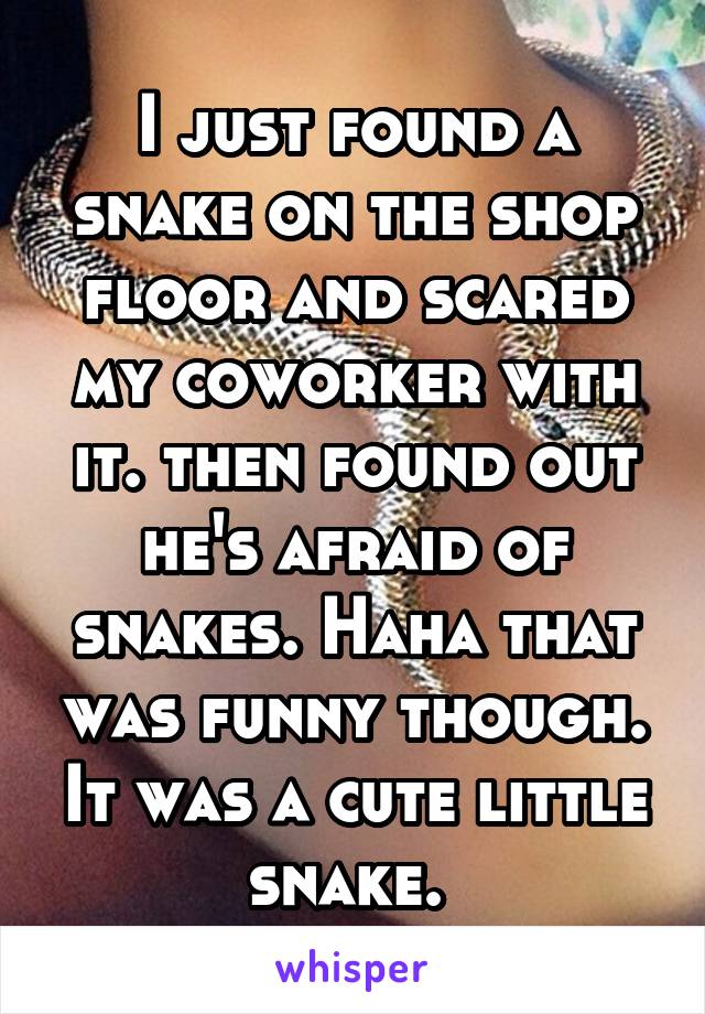 I just found a snake on the shop floor and scared my coworker with it. then found out he's afraid of snakes. Haha that was funny though. It was a cute little snake. 