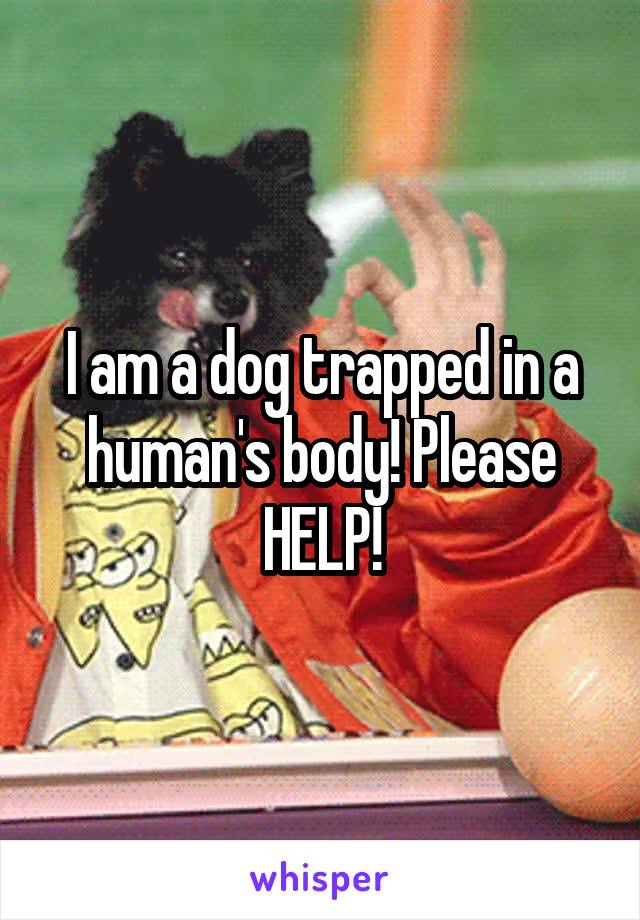 I am a dog trapped in a human's body! Please HELP!