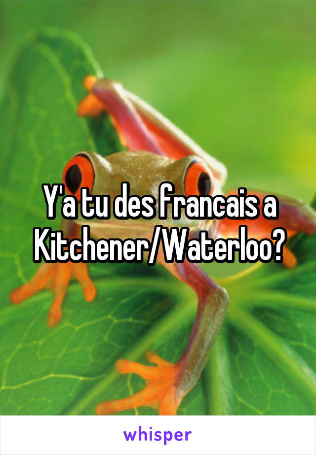 Y'a tu des francais a Kitchener/Waterloo?