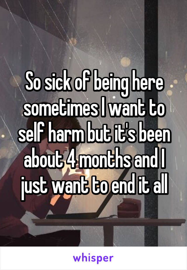 So sick of being here sometimes I want to self harm but it's been about 4 months and I just want to end it all