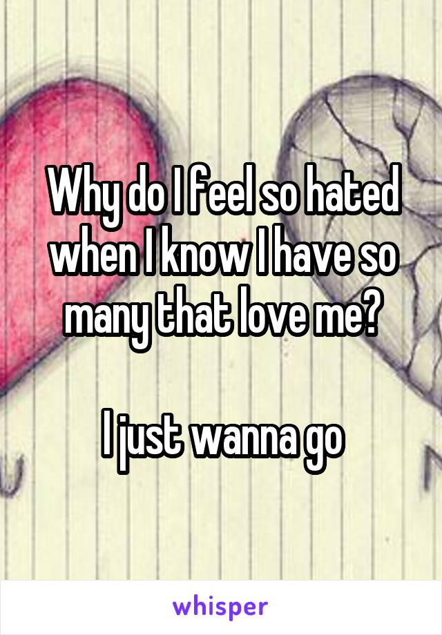 Why do I feel so hated when I know I have so many that love me?

I just wanna go