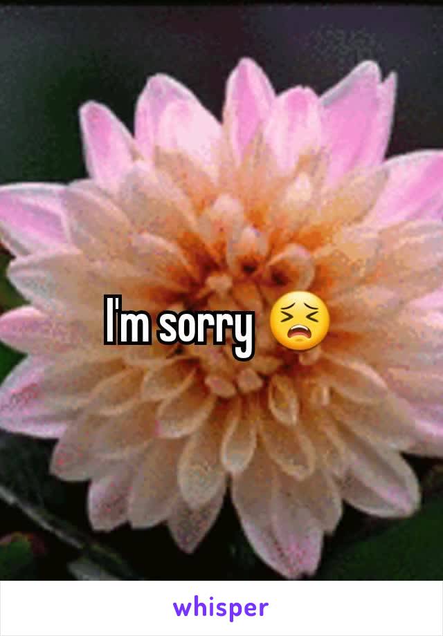 I'm sorry 😣