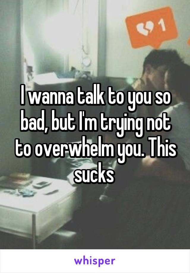I wanna talk to you so bad, but I'm trying not to overwhelm you. This sucks 