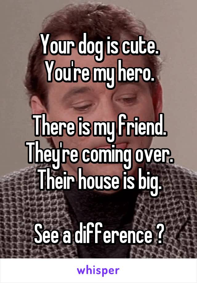 Your dog is cute.
You're my hero.

There is my friend.
They're coming over.
Their house is big.

See a difference ?