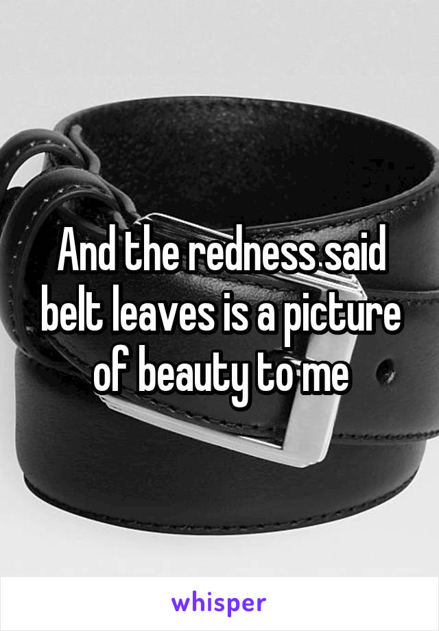 And the redness said belt leaves is a picture of beauty to me