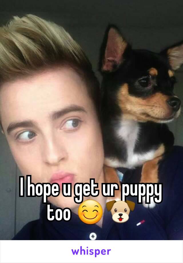 I hope u get ur puppy too 😊🐶