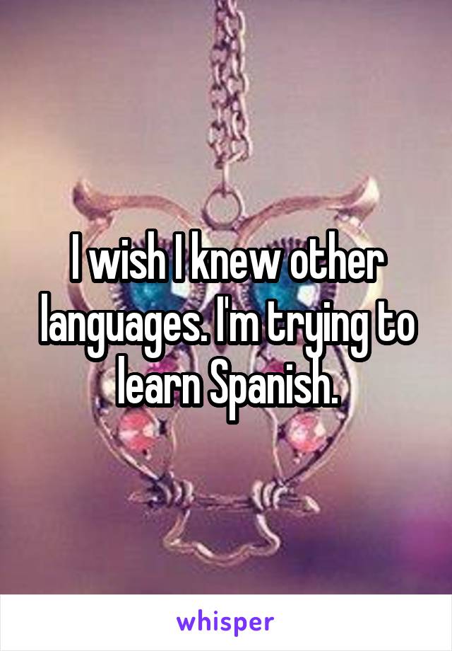 I wish I knew other languages. I'm trying to learn Spanish.