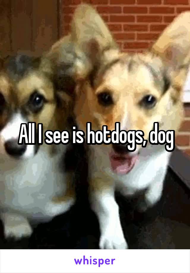 All I see is hotdogs, dog