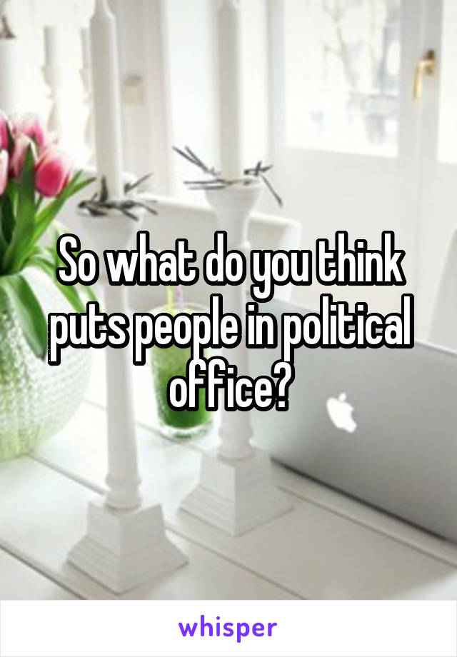 So what do you think puts people in political office?