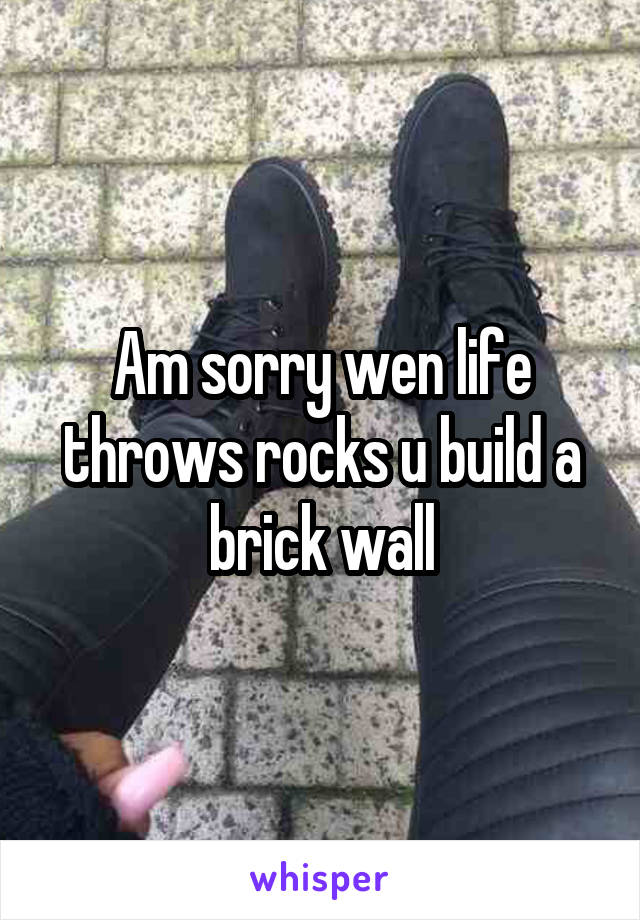 Am sorry wen life throws rocks u build a brick wall