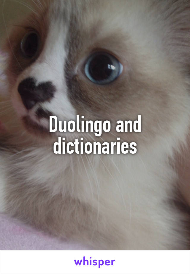 Duolingo and dictionaries