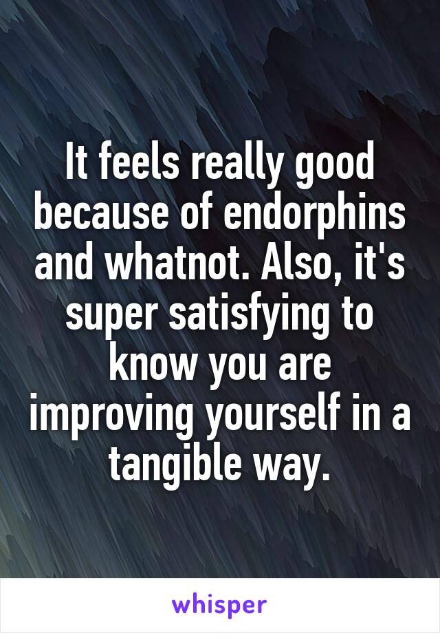 It feels really good because of endorphins and whatnot. Also, it's super satisfying to know you are improving yourself in a tangible way.