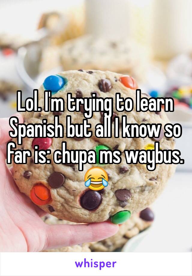 Lol. I'm trying to learn Spanish but all I know so far is: chupa ms waybus.
😂