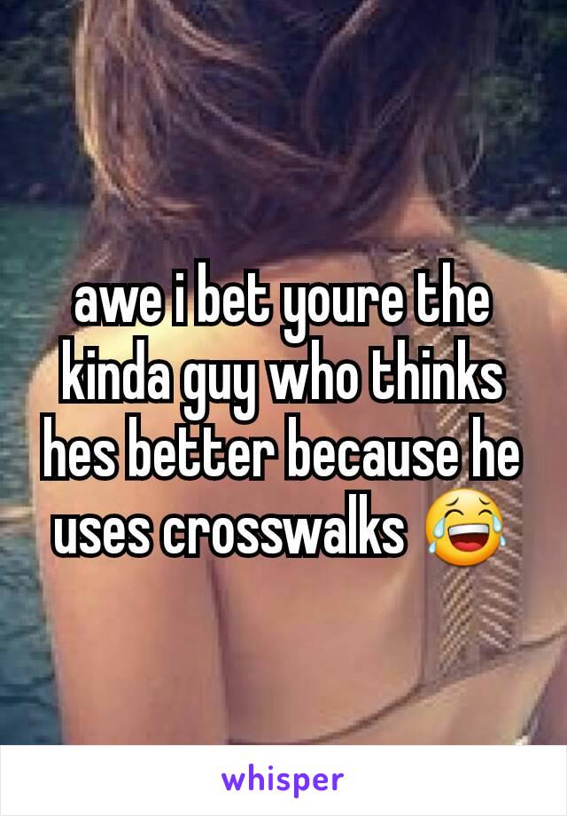 awe i bet youre the kinda guy who thinks hes better because he uses crosswalks 😂