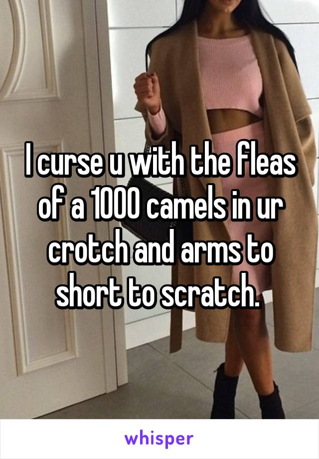 I curse u with the fleas of a 1000 camels in ur crotch and arms to short to scratch. 