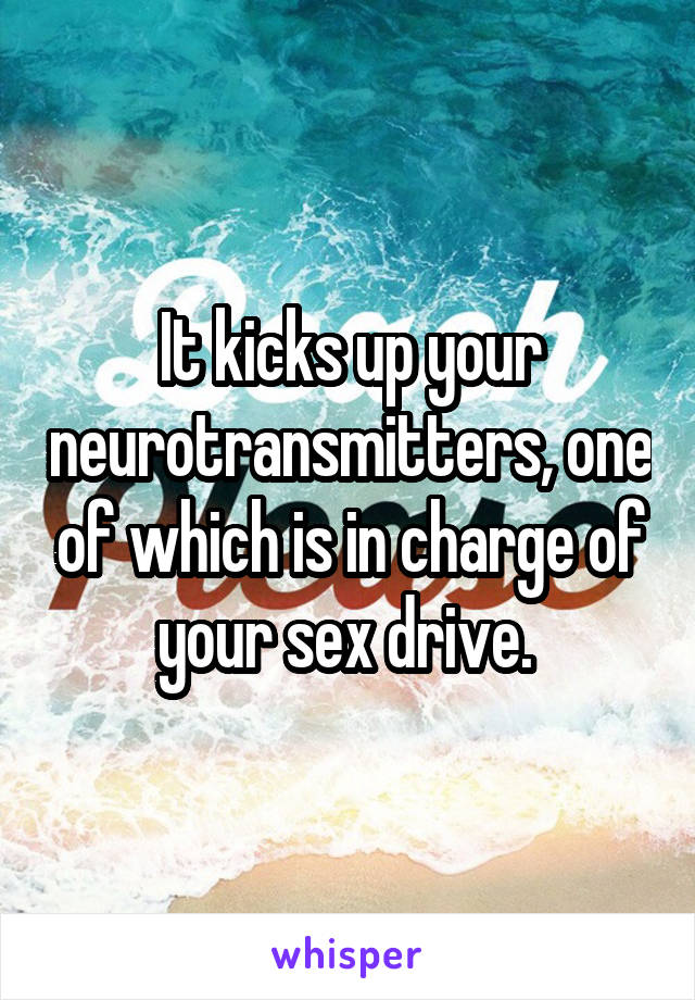 It kicks up your neurotransmitters, one of which is in charge of your sex drive. 