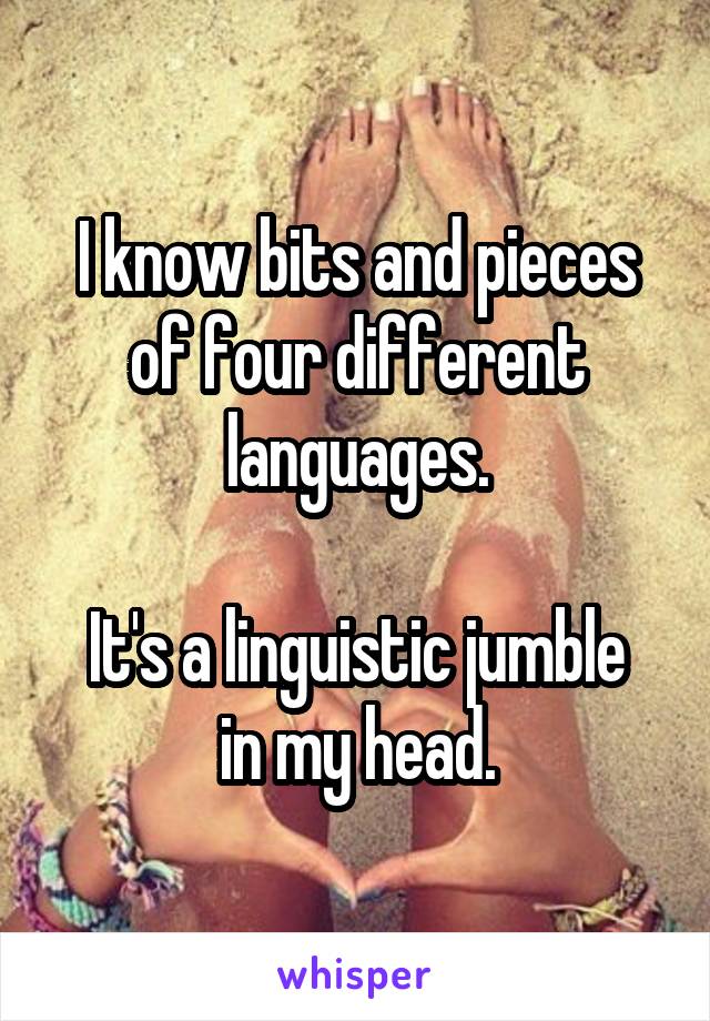 I know bits and pieces of four different languages.

It's a linguistic jumble in my head.