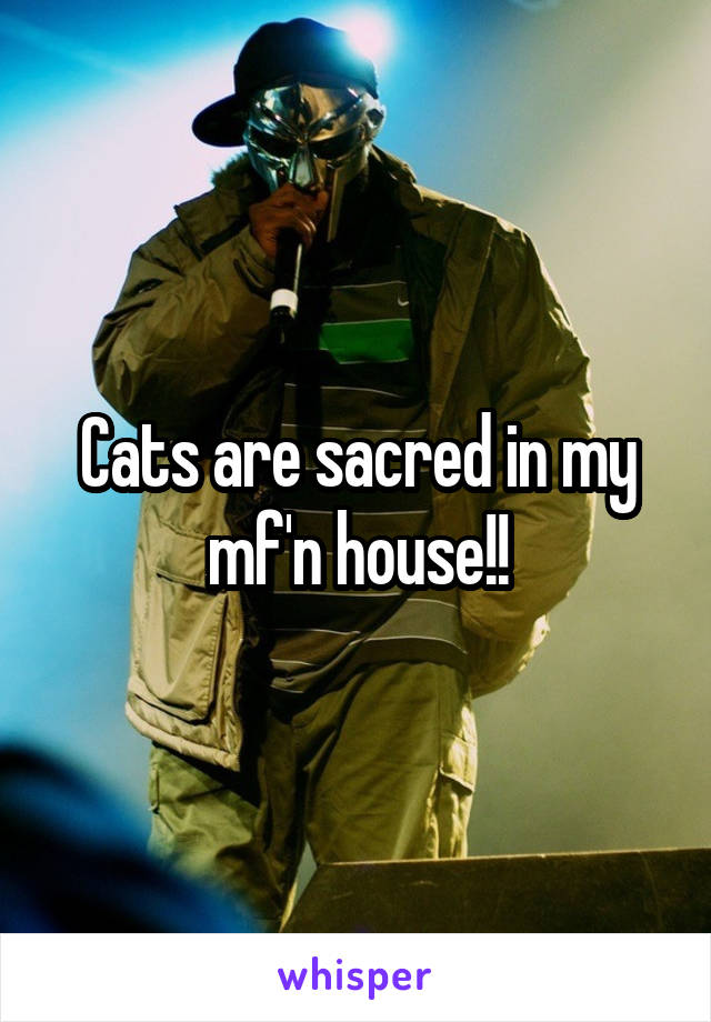 Cats are sacred in my mf'n house!!