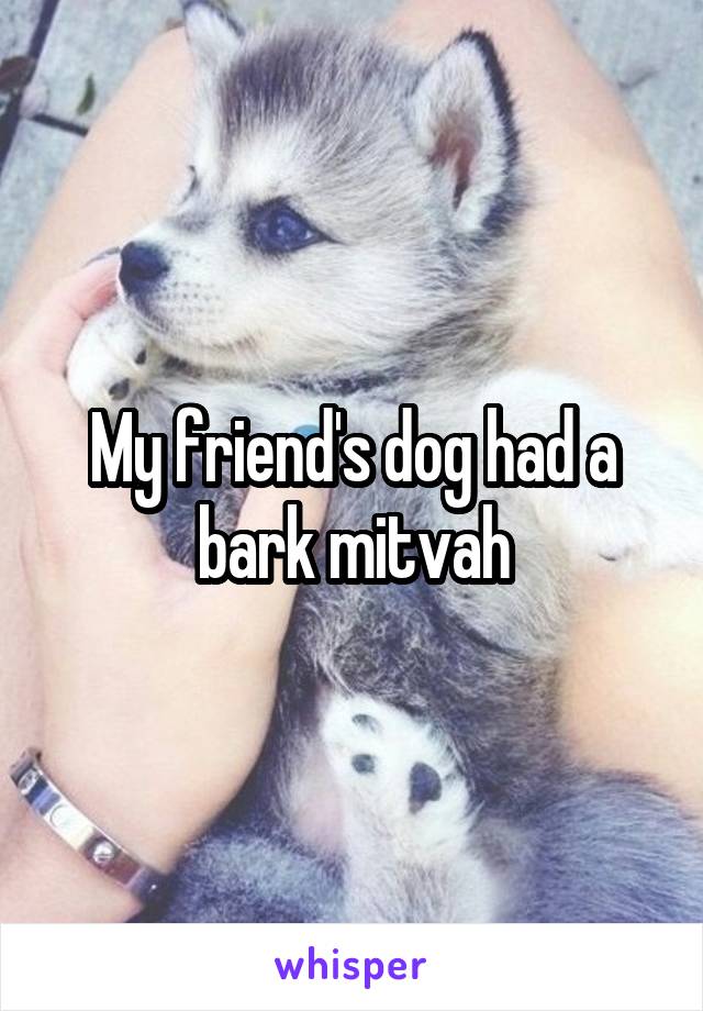 My friend's dog had a bark mitvah